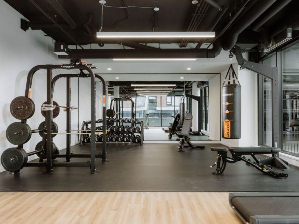 LUPINE-Gym(1)