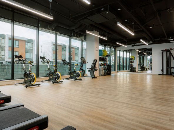 LUPINE-Gym(2)