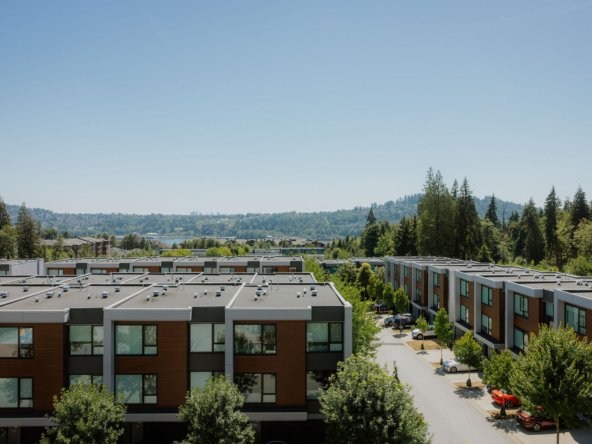 LUPINE-Seymour Village(1)
